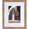 6 Packs: 3 ct. (18 total) Gallery™ Honey Frame with Mat by Studio Décor®